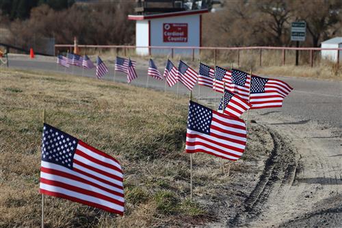  62 flags honor veterans at EMS after an NJHS fundraiser for DAV
